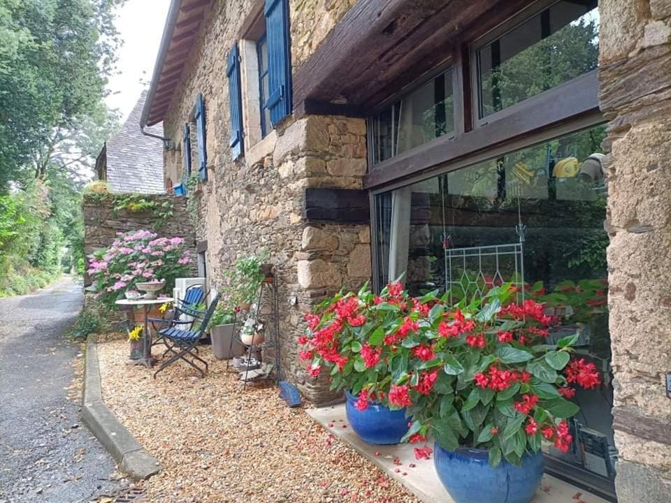 La Maison Bleue Juillac  外观 照片