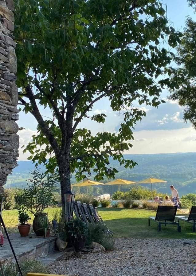 La Maison Bleue Juillac  外观 照片